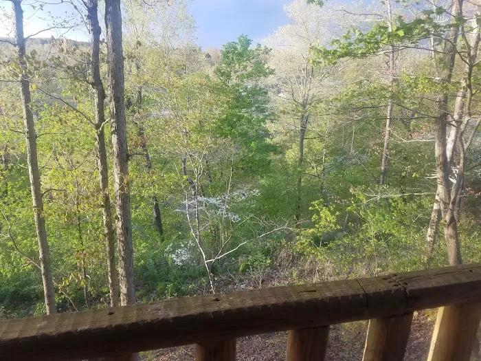 Jewells RV Park Picture 8