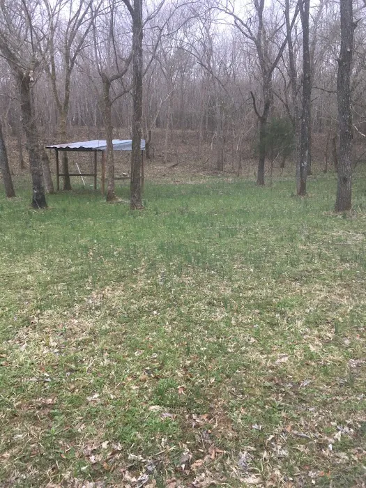 Shade Tree Resort Picture 7