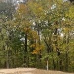 Baseheart Campground