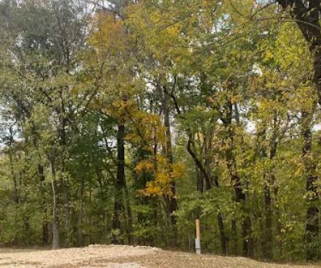 Baseheart Campground