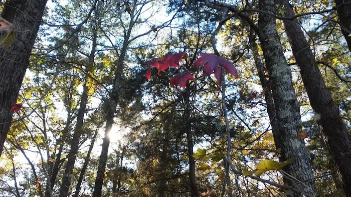 Water Valley Landing Picture 7