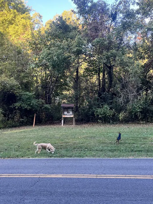T.O. Fuller State Park Campground Picture 5