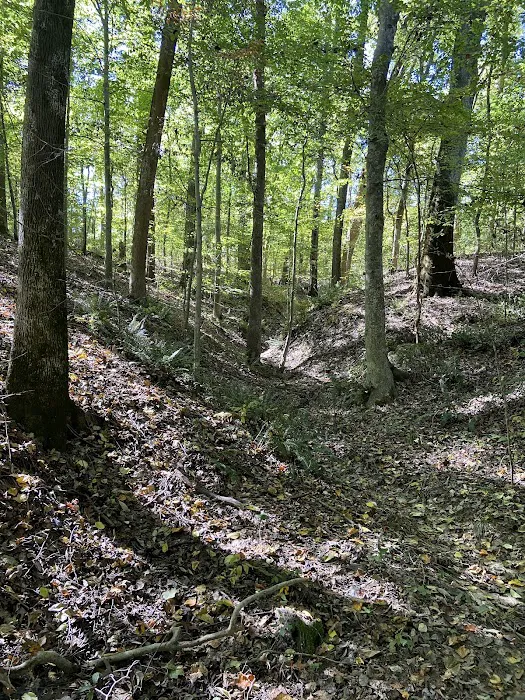 T.O. Fuller State Park Campground Picture 2