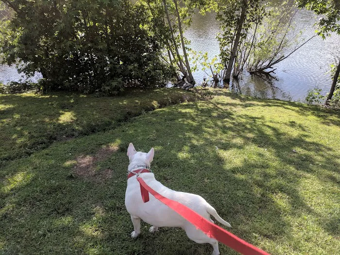 Memphis East Campground Picture 9