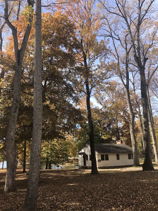 Meeman-Shelby Forest Cabins Picture 7