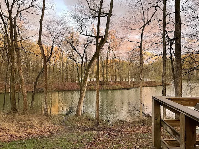 Meeman-Shelby Forest Cabins Picture 4