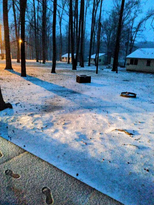 Meeman-Shelby Forest Cabins Picture 5