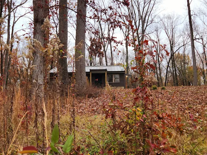 Meeman-Shelby Forest Cabins Picture 9