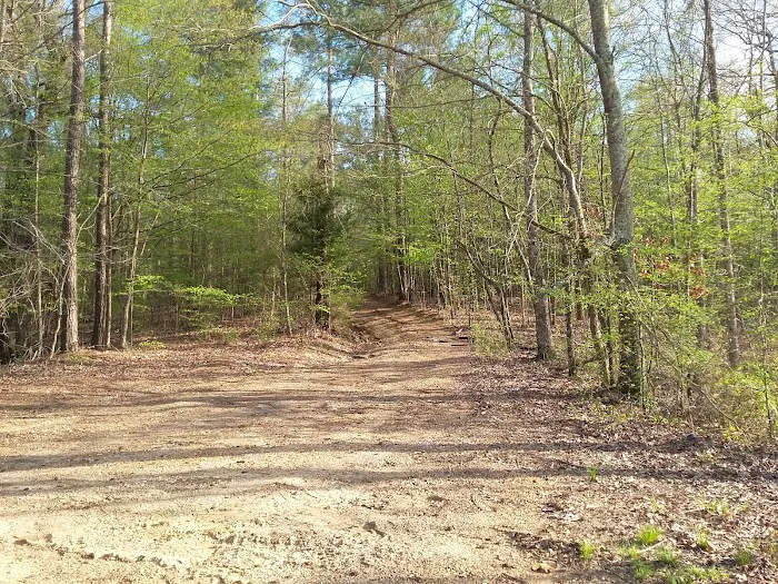 Wallace Creek Campground Picture 10