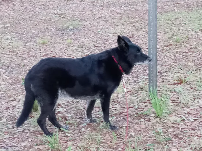 Yates Campsite Picture 6