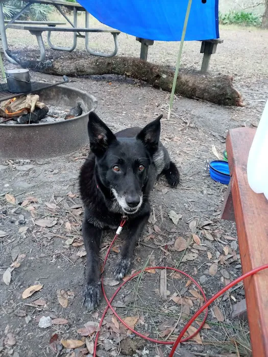 Yates Campsite Picture 4