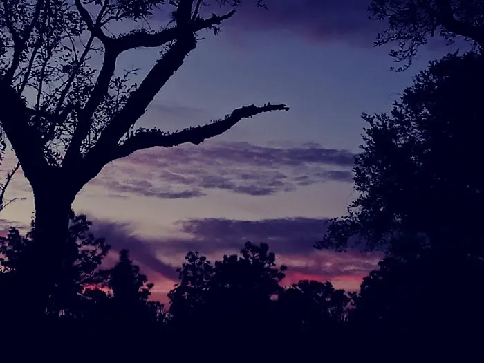 Yates Campsite Picture 2