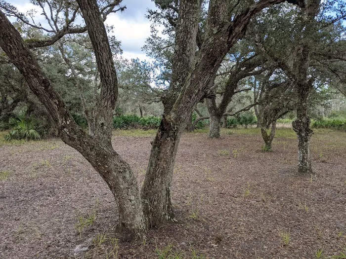 Yates Campsite Picture 9