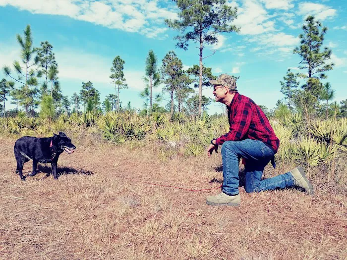 Yates Campsite Picture 5