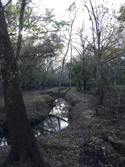 White Loop Group Campsite Picture 8