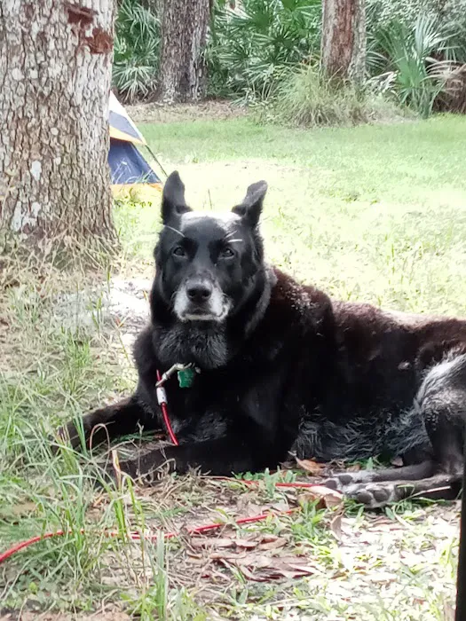 White Loop Group Campsite Picture 2
