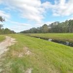 White Loop Group Campsite