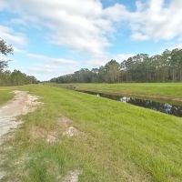 White Loop Group Campsite ico