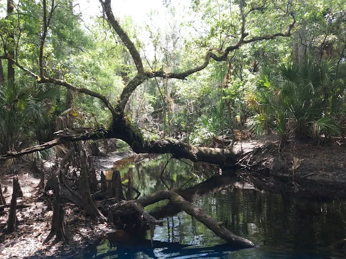 White Loop Group Campsite Picture 9