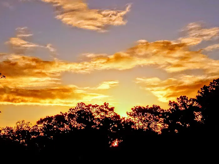 White Loop Group Campsite Picture 6