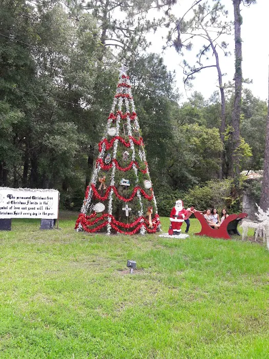 Captain Freds Outback Airboat Rides Picture 5
