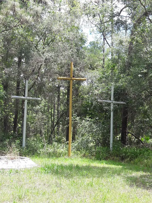 Captain Freds Outback Airboat Rides Picture 6