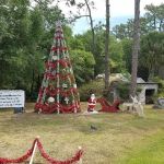 Captain Freds Outback Airboat Rides