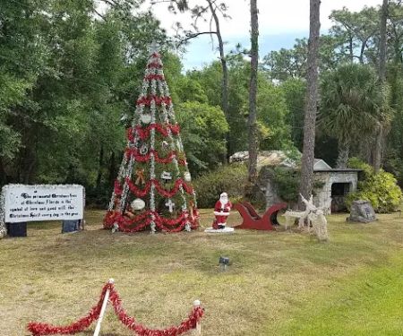 Captain Freds Outback Airboat Rides