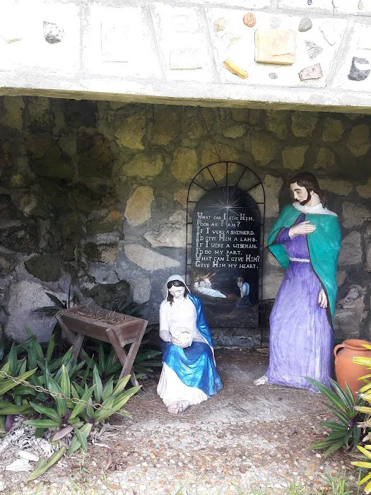 Captain Freds Outback Airboat Rides Picture 4