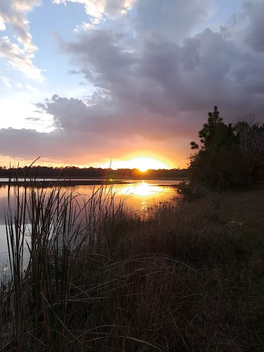 Fish Hawk Pond Campsite Picture 5