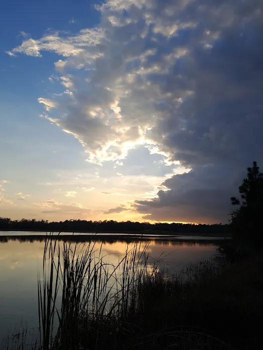 Fish Hawk Pond Campsite Picture 2