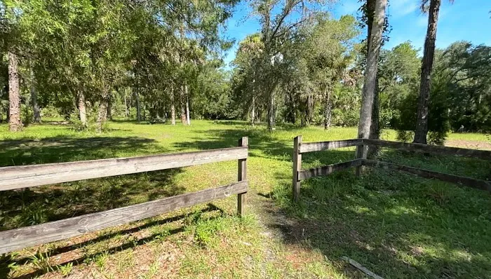 Fish Hawk Pond Campsite Picture 6