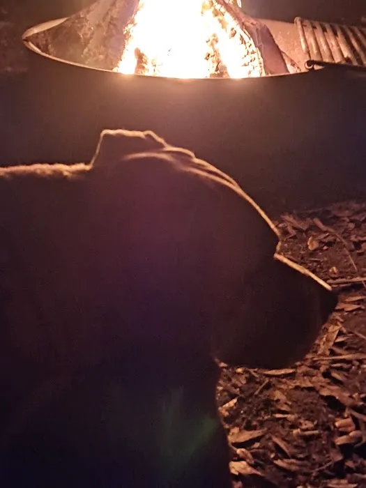 Fish Hawk Pond Campsite Picture 3