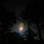 Fish Hawk Pond Campsite