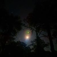 Fish Hawk Pond Campsite ico