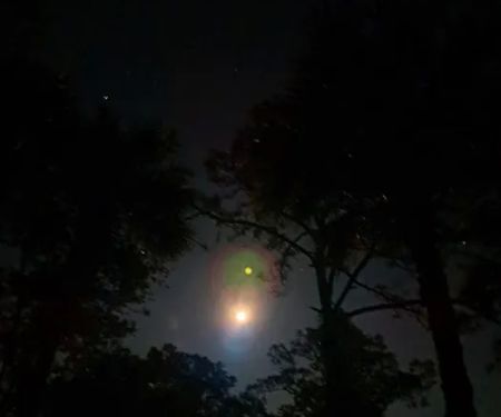 Fish Hawk Pond Campsite