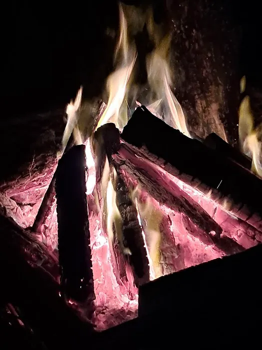 Fish Hawk Pond Campsite Picture 4