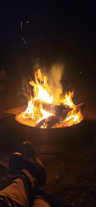 Tosohatchee Youth Camp Picture 1