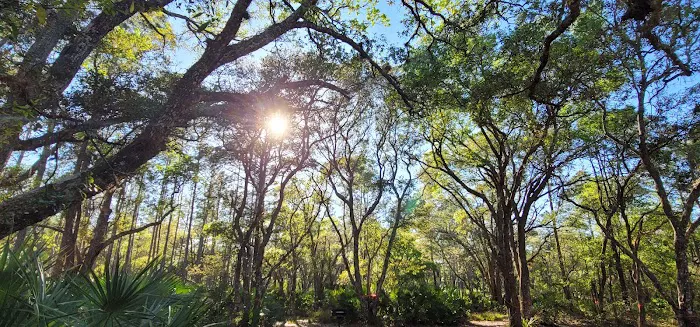 Tosohatchee Youth Camp Picture 3