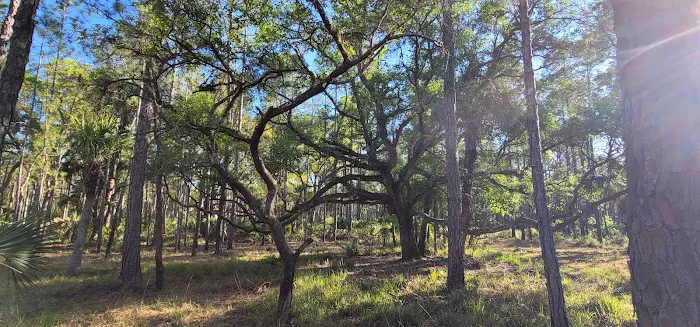 Tosohatchee Youth Camp Picture 4