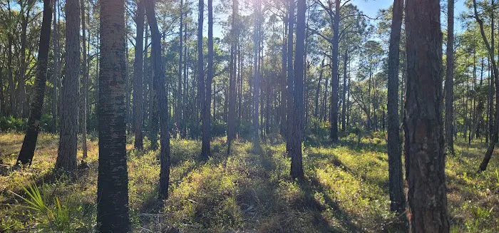 Tosohatchee Youth Camp Picture 2