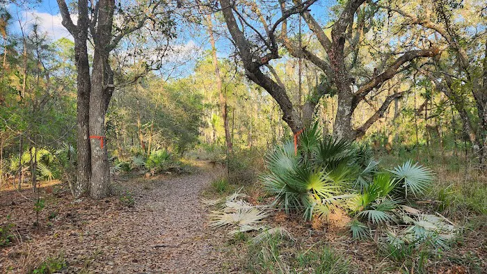 Tosohatchee Youth Camp Picture 7