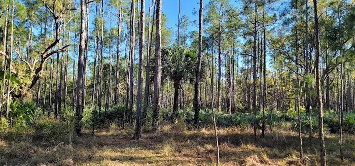 Tosohatchee Youth Camp Picture 5