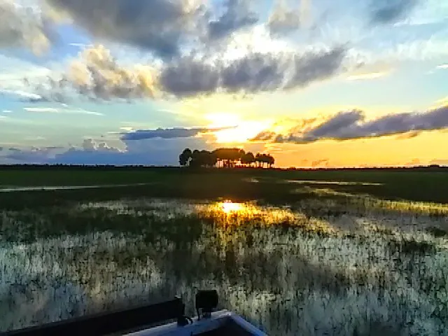 Lake Cone Campground Picture 2