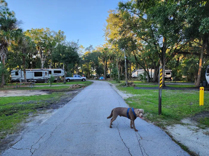 Manatee Hammock Campground Picture 5