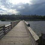 Manatee Hammock Campground