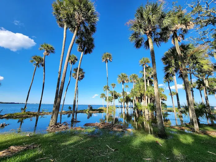 Manatee Hammock Campground Picture 3