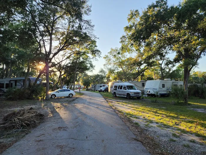 Manatee Hammock Campground Picture 6
