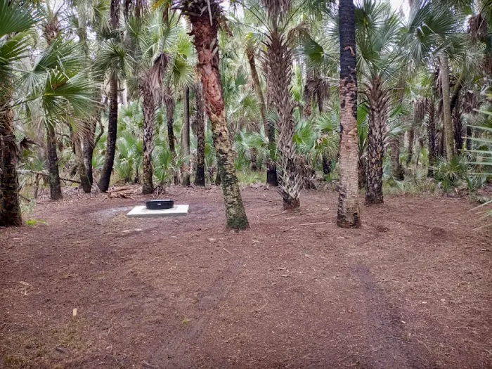 Turkey Roost Campsite Picture 1