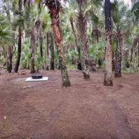 Turkey Roost Campsite ico